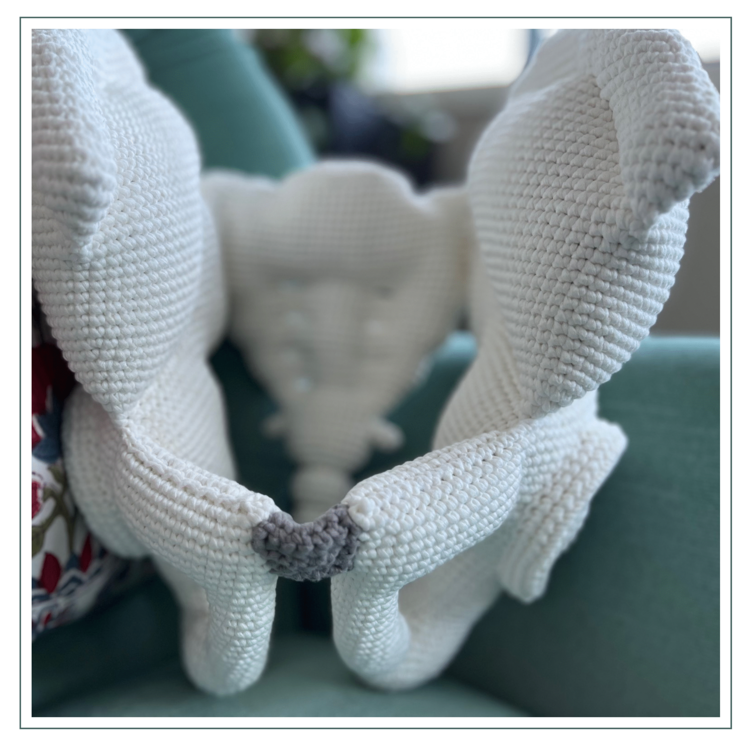 This is a crocheted model of a pelvic bone.